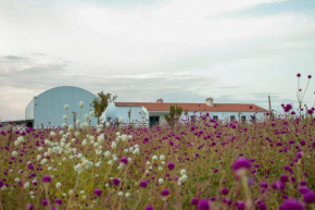 Monte de Palma- Quinta Biodinâmica Momentos Únicos